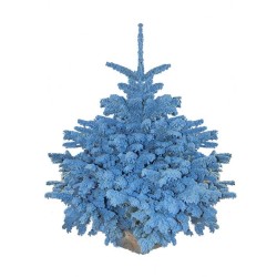 Sapin Flocké Bleu clair 180/200 cm