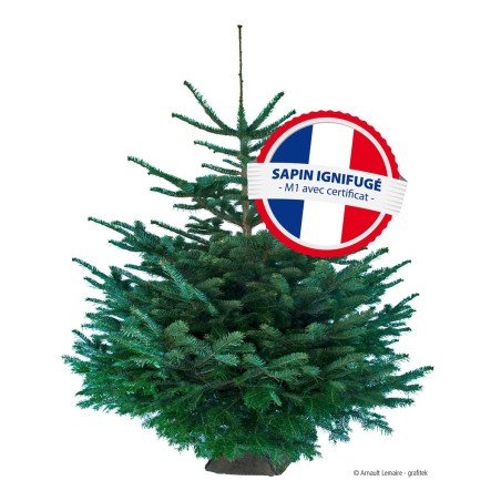 Sapin de noël ignifugé avec certificat M 1 125/150 cm