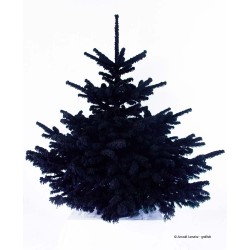 Sapin floqué noir 230/250 cm