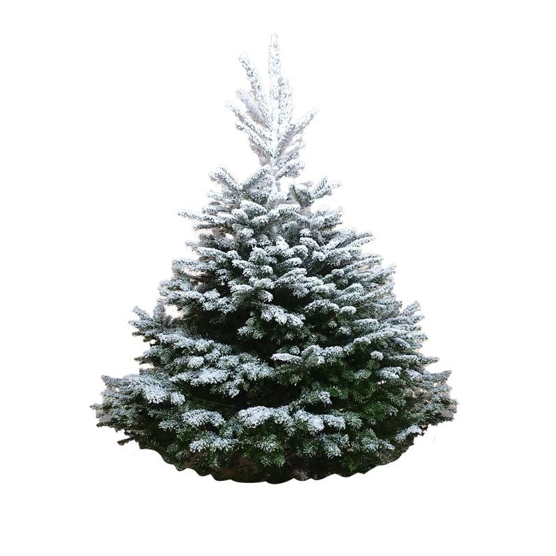 Sapin enneigé blanc 180/200 cm