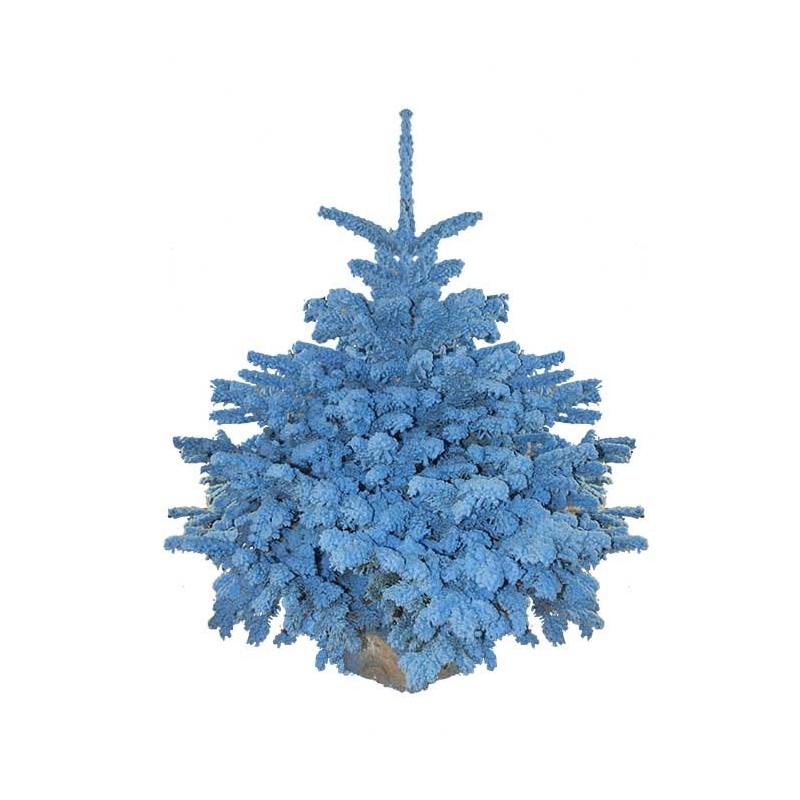 Sapin Flocké Bleu clair 180/200 cm
