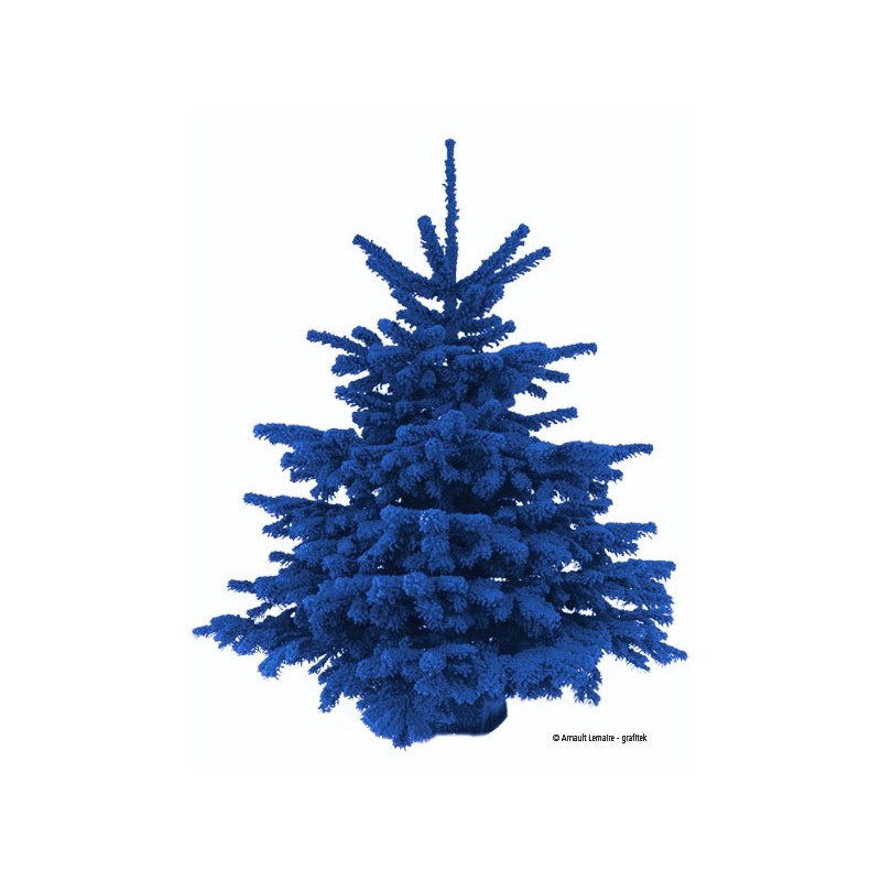 Sapin Flocké Bleu 180/200 cm