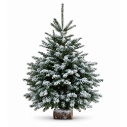 Sapin givré blanc 120/140 cm