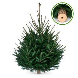 Sapin de Noël Epicéa 160/180 cm