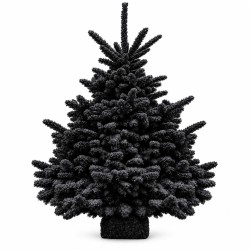 Sapin Flocké Noir 100/120 cm