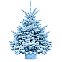 Sapin Flocké Bleu clair 140/160 cm