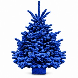 Sapin floqué bleu roi 100/120 cm