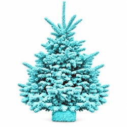 sapin floqué turquoise 100/120 cm